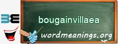 WordMeaning blackboard for bougainvillaea